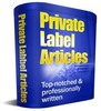 Thumbnail Business PLR Articles Thumbnail Business PLR Articles