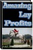 Thumbnail How To Make Amazing Lay Profits Thumbnail How To Make Amazing Lay Profits