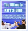 Thumbnail - The Ultimate Karate Bible -