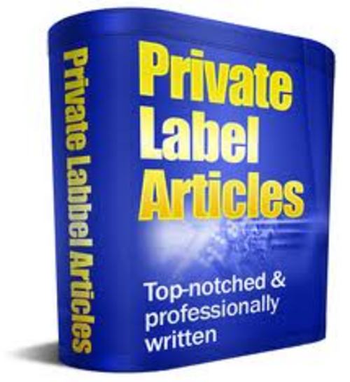 Product picture Business PLR Articles
