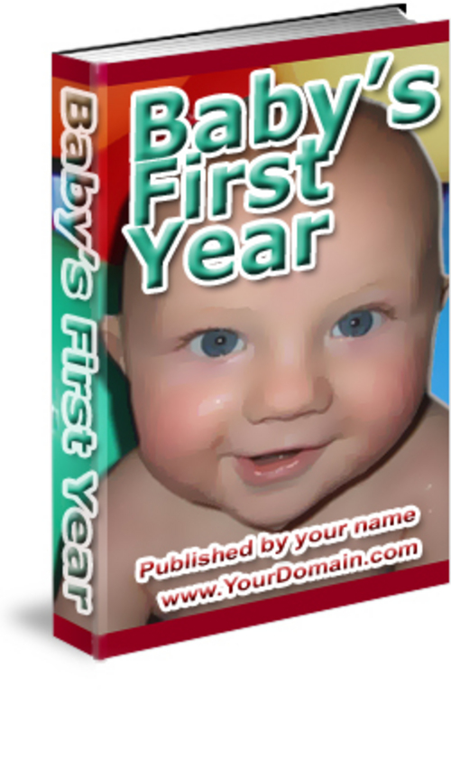 Product picture Babys First Year (website full)