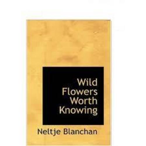 Product picture Wild Flowers