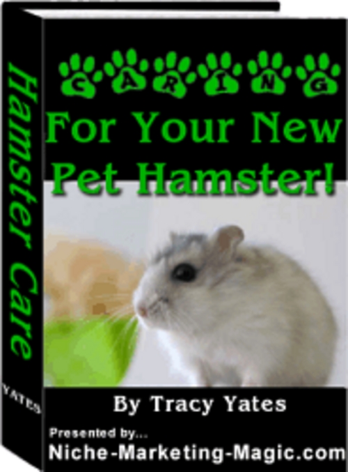 Product picture For Your New Pet Hamster