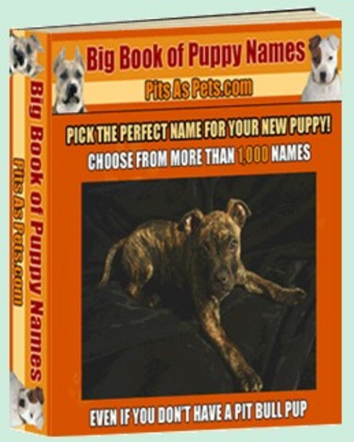 Product picture The Big Book of Puppy Names