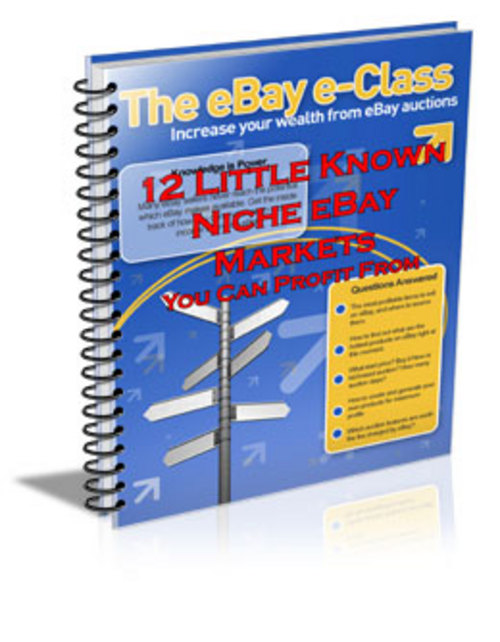 Product picture 12 Little Known Niche eBay Markets 