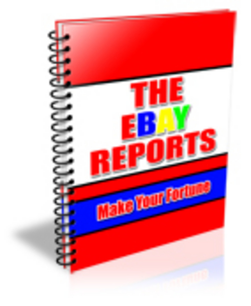 Product picture The Ebay Reports 