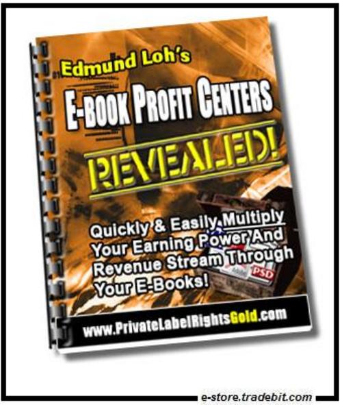Product picture Ebook Profit Centers 