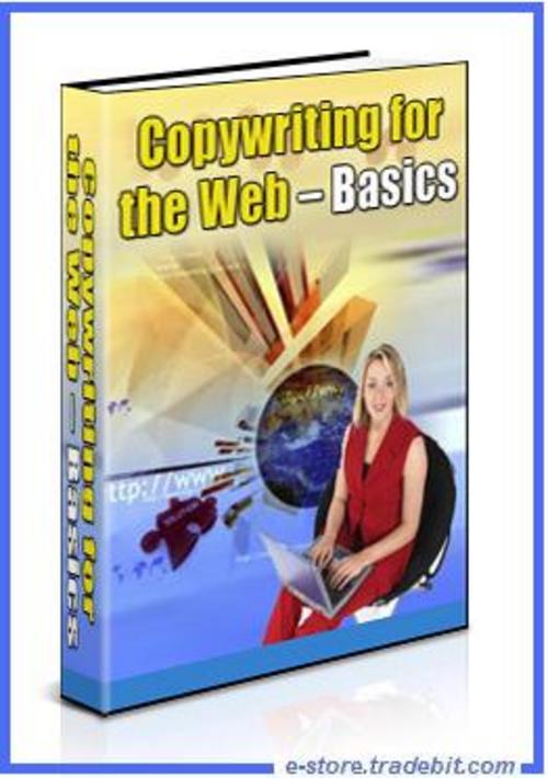 Product picture Copywriting for the Web - Guide Basics Copywrititing